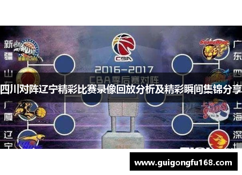 四川对阵辽宁精彩比赛录像回放分析及精彩瞬间集锦分享