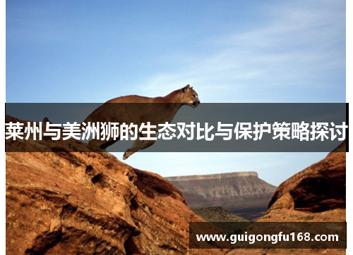 莱州与美洲狮的生态对比与保护策略探讨