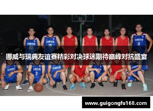 挪威与瑞典友谊赛精彩对决球迷期待巅峰对抗盛宴