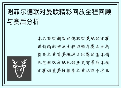 谢菲尔德联对曼联精彩回放全程回顾与赛后分析