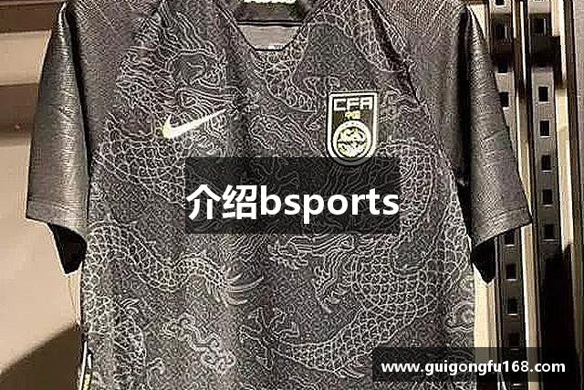介绍bsports